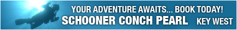 Featured Ad