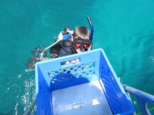 Handing up the lionfish (in bottom of crate)....Simple catching technique.  Thanks Jim!