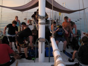 Crew getting ready for the night dive!