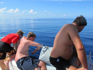 Everyone is leaning over to see the dolphins swimming on the bow.